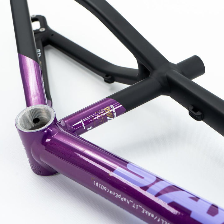 Stay Strong For Life V5 Expert XL Frame 2025