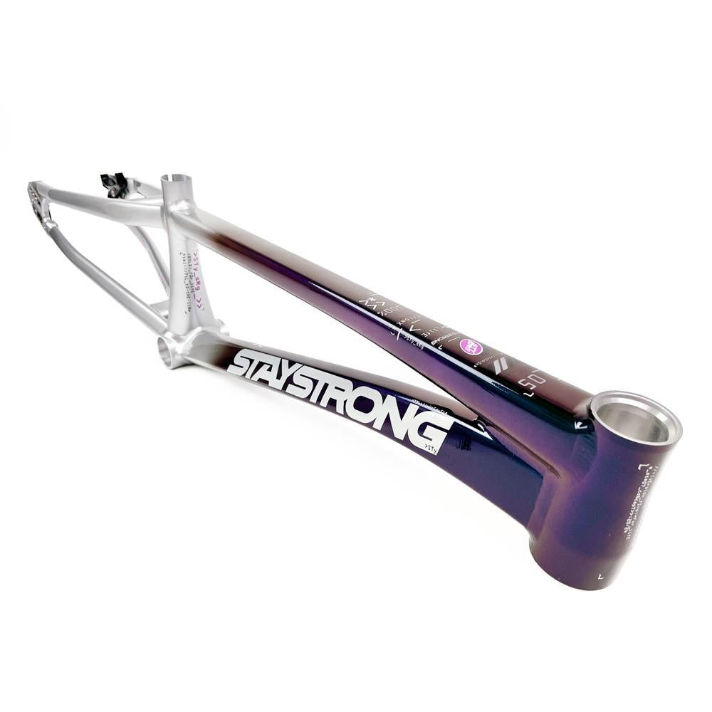 Stay Strong For Life 2024 V5 Pro Race Frame Disc Version