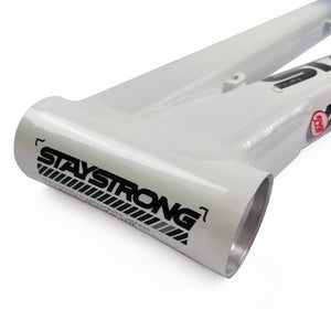 Stay Strong For Life 2024 V5 Expert Race Frame - Disc Frame