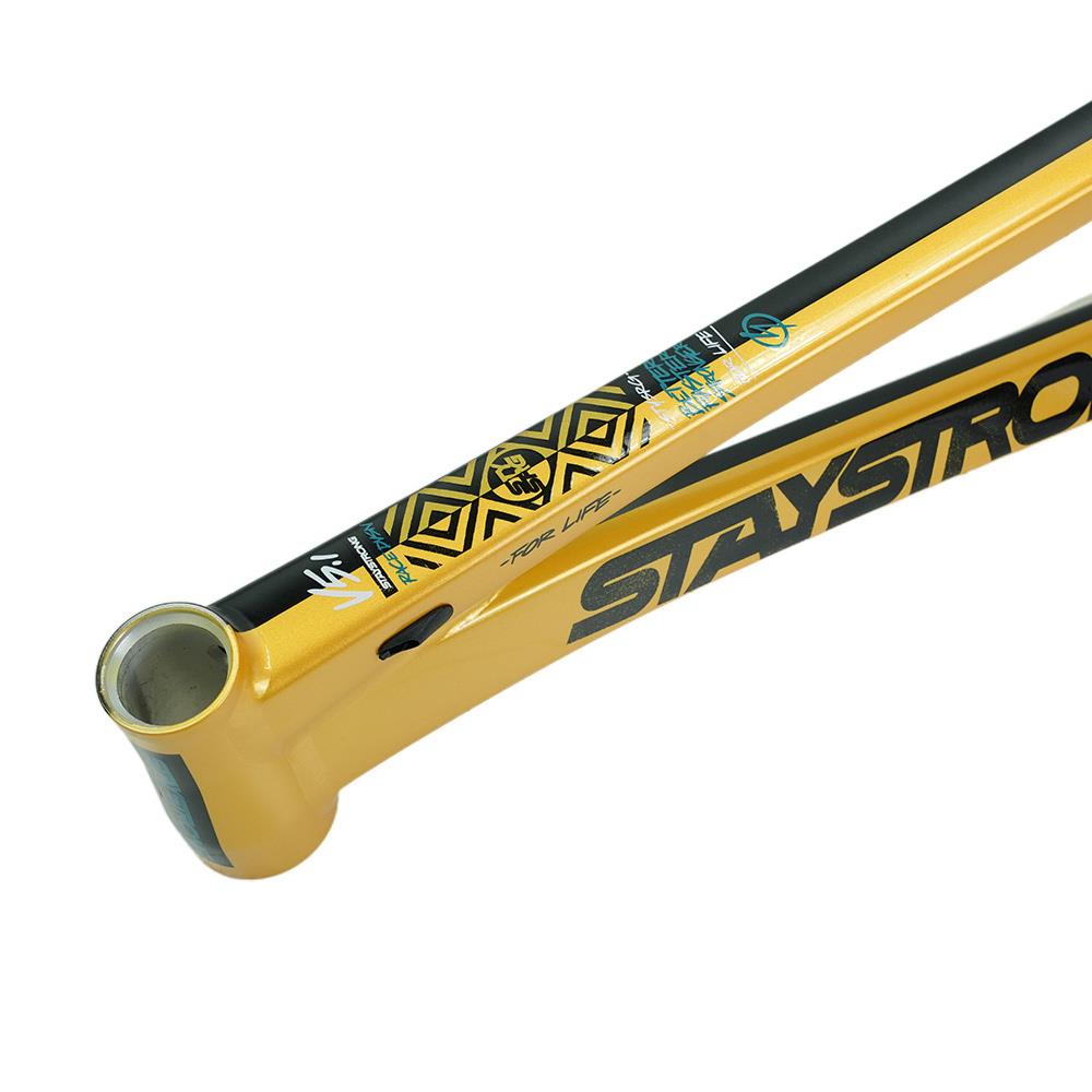 Stay Strong For Life V5.1 Mini Frame