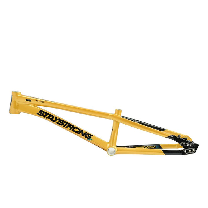 Stay Strong For Life V5.1 Cruiser Expert XL Frame