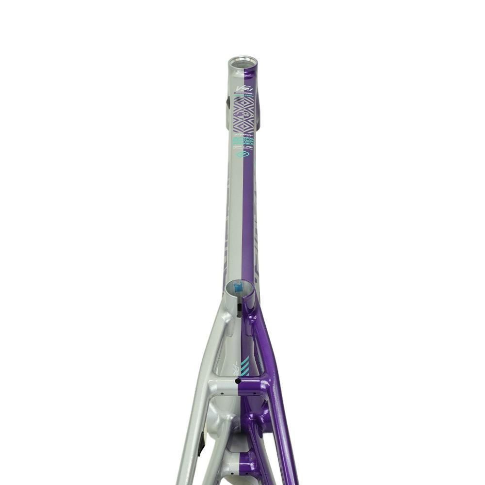 Stay Strong For Life V5.1 Pro XXL Frame – Source BMX