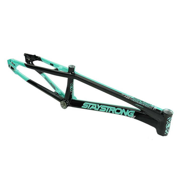 Stay Strong For Life V5.1 Expert Frame