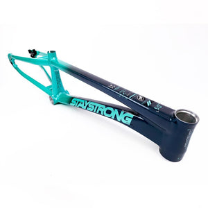 Stay Strong For Life 2024 V5 Pro XXXL Race Frame - Disc Version