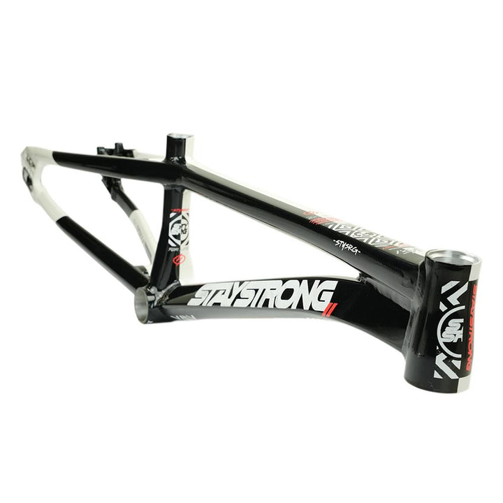 Stay Strong For Life V5.1 Expert XL Frame