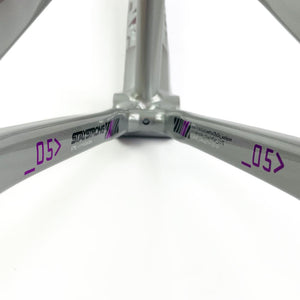 Stay Strong For Life 2024 V5 Mini Race Frame - Disc Version