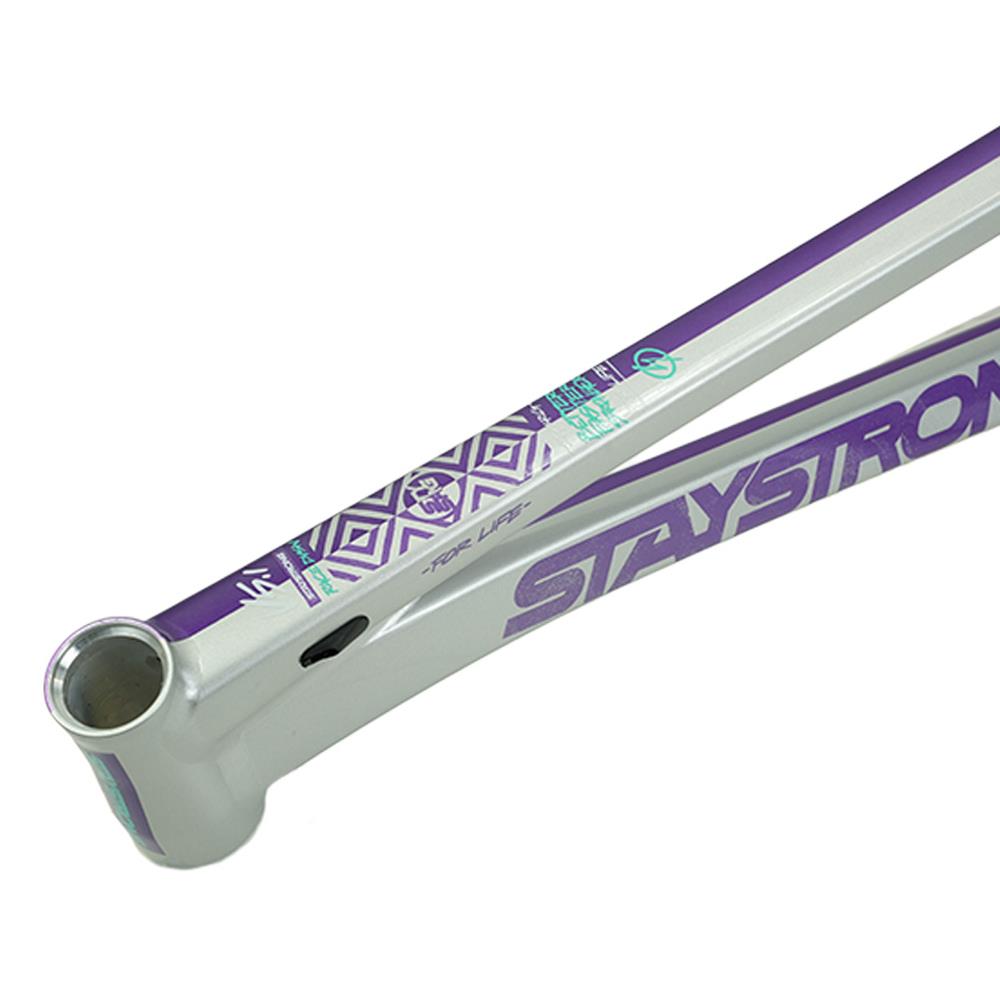 Stay Strong For Life V5.1 Pro XXXL Frame – Source BMX