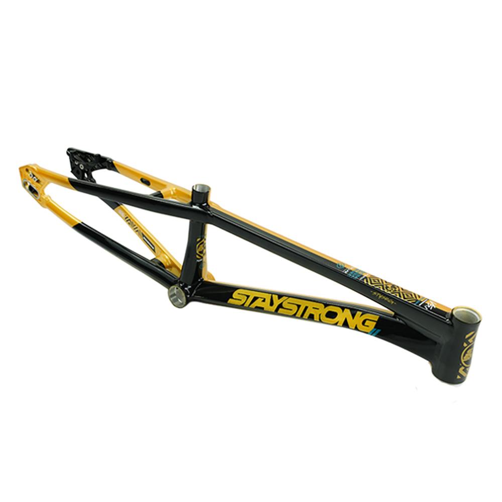 Stay Strong For Life V5.1 Expert XL Frame