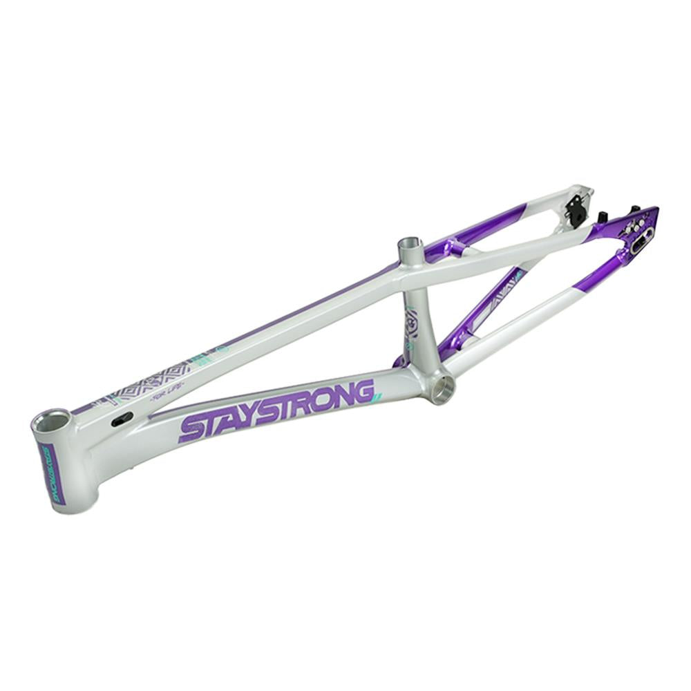 Stay Strong For Life V5.1 Expert XL Frame