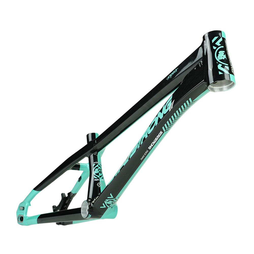 Stay Strong For Life V5.1 Mini Frame