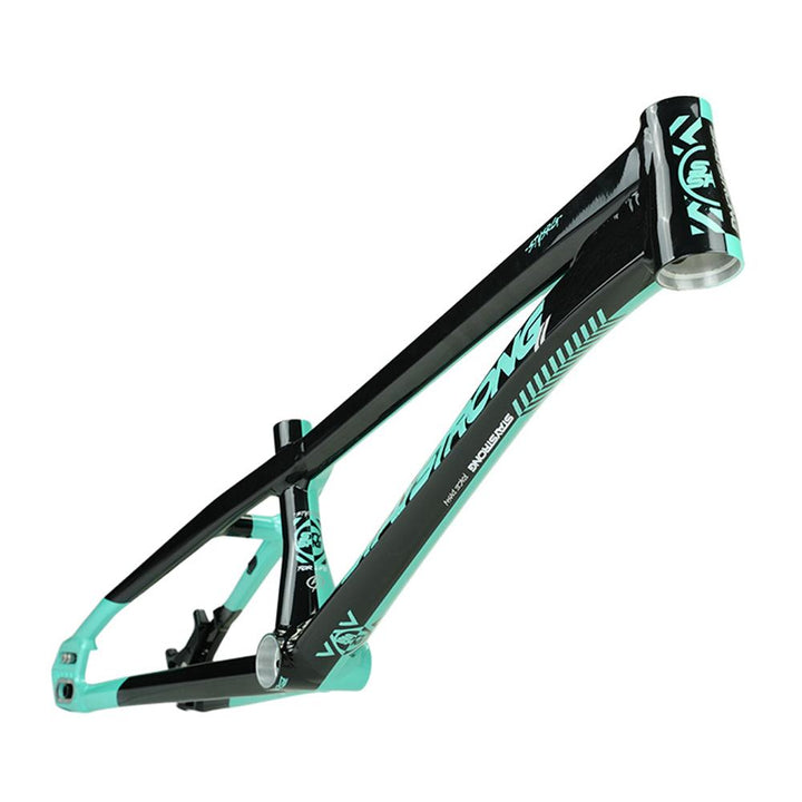 Stay Strong For Life V5.1 Pro XXL Cruiser Frame