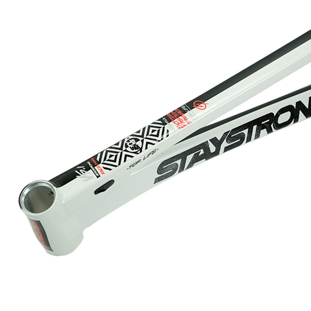 Stay Strong For Life V5.1 Pro XXL Frame – Source BMX