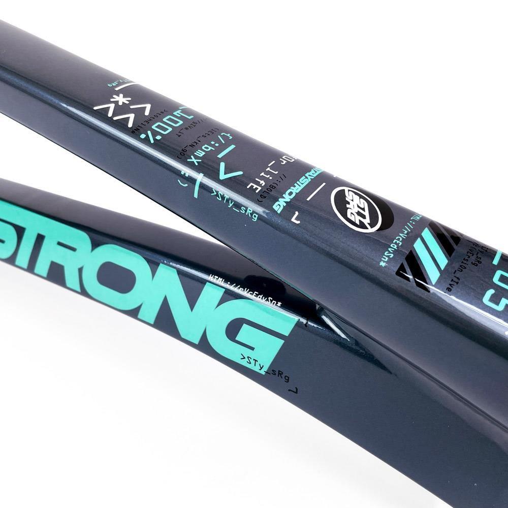 Stay Strong For Life 2024 V5 Pro XXXL Race Frame - Disc Version