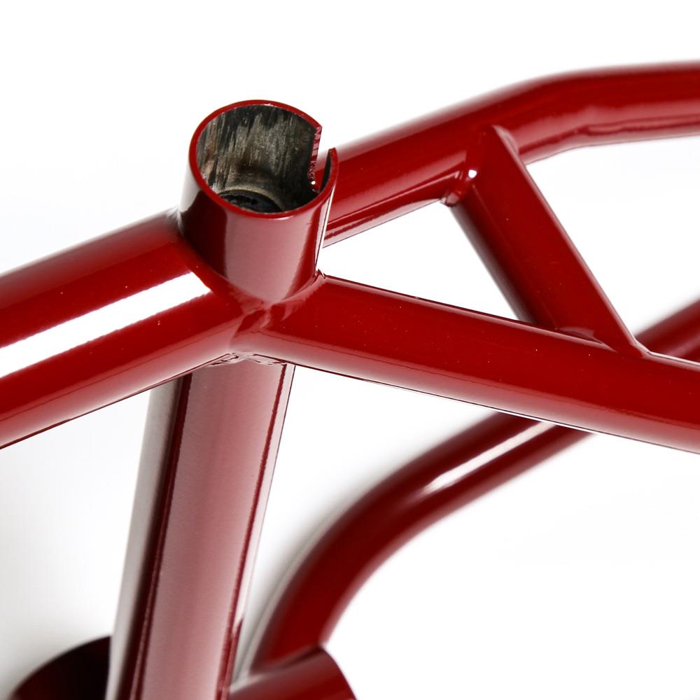 Animal Red Eye Frame