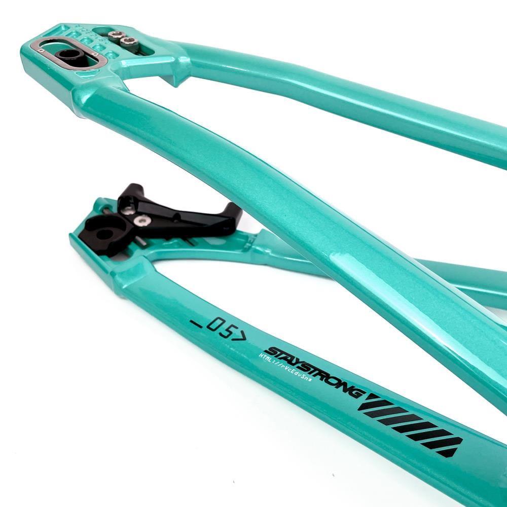 Stay Strong For Life 2024 V5 Cruiser Race Frame - Disc Version