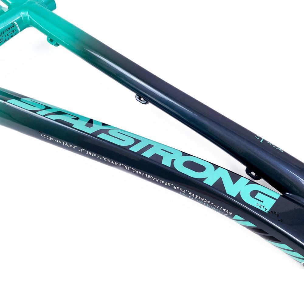 Stay Strong For Life 2024 V5 Pro Race Frame - Disc Version