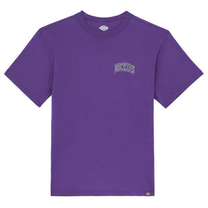 Dickies Aitkin T-Shirt - Imperial Palace