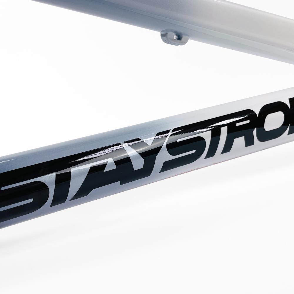 Stay Strong For Life 2024 V5 Mini Race Frame - Disc Version