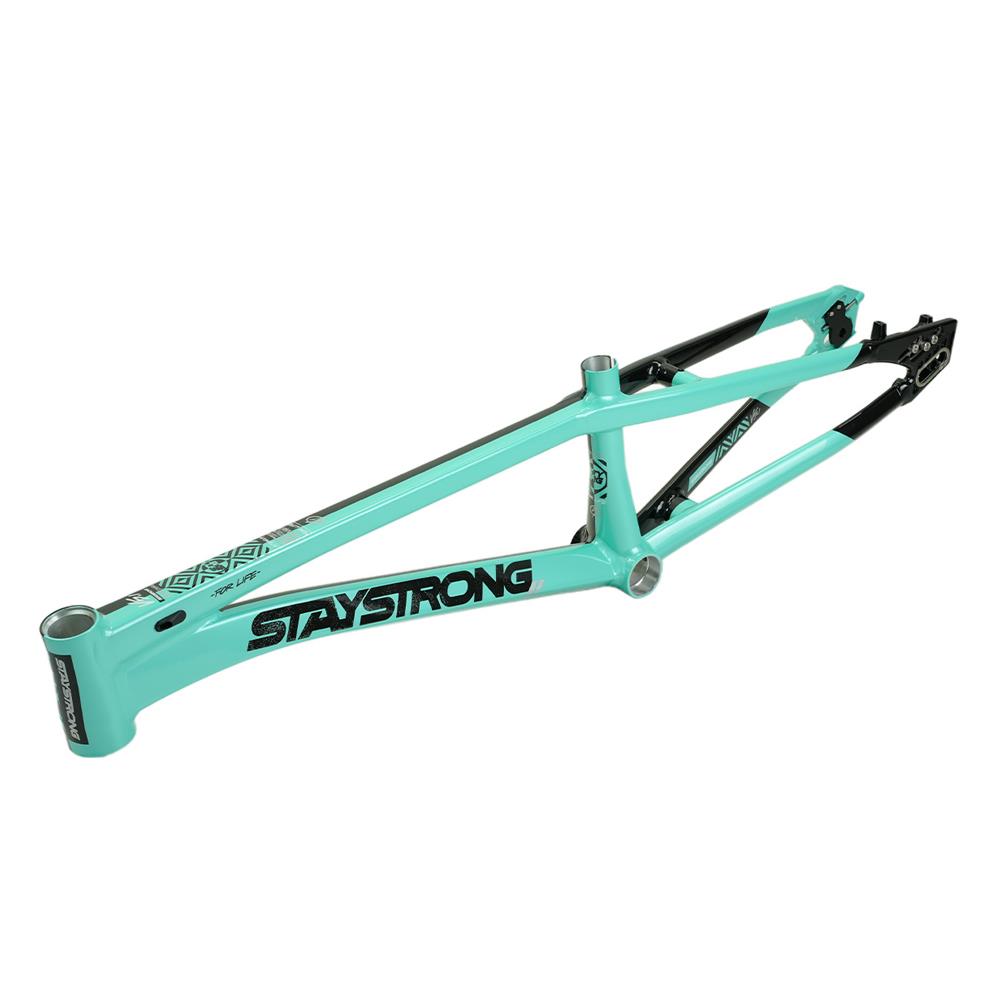Stay Strong For Life V5.1 Cruiser Expert XL Frame