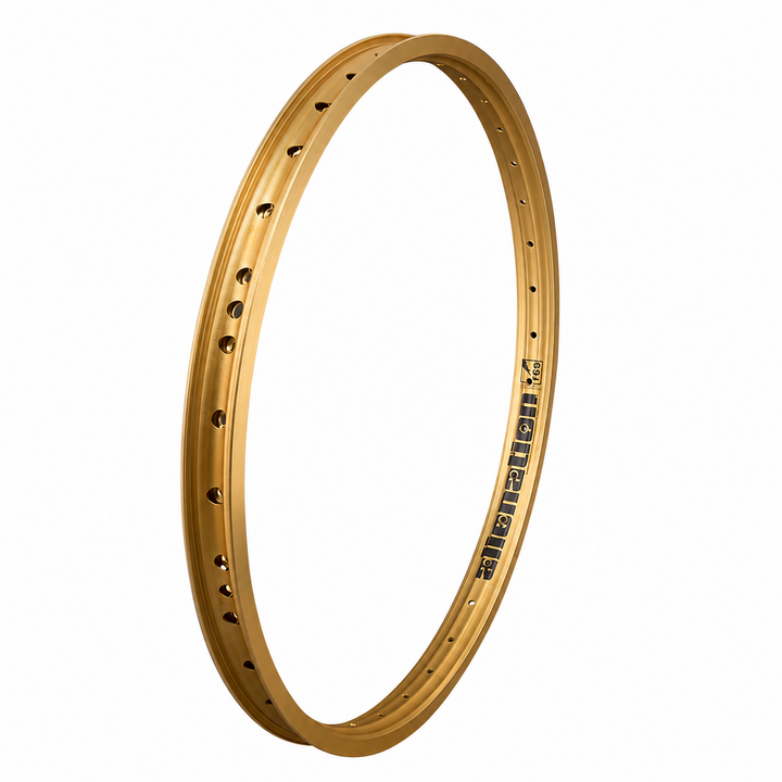 Alienation TCS Malice G69 20" Rim