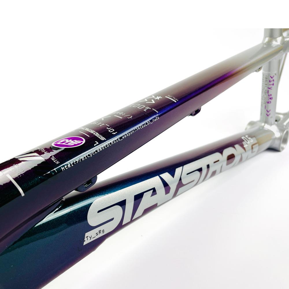 Stay Strong For Life 2024 V5 Mini Race Frame - Disc Version