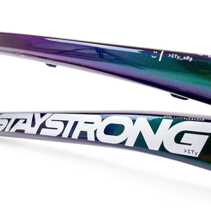 Stay Strong For Life 2024 V5 Pro Race Frame - Disc Version