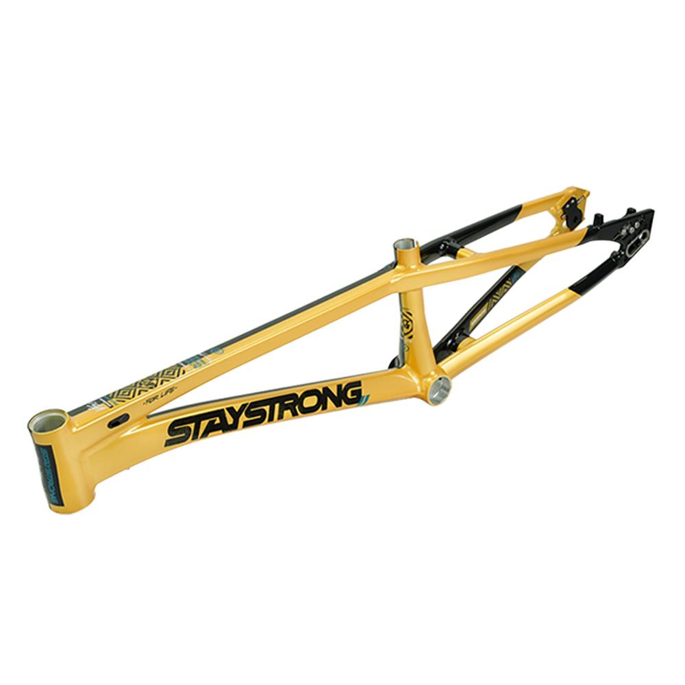 Stay Strong For Life V5.1 Mini Frame