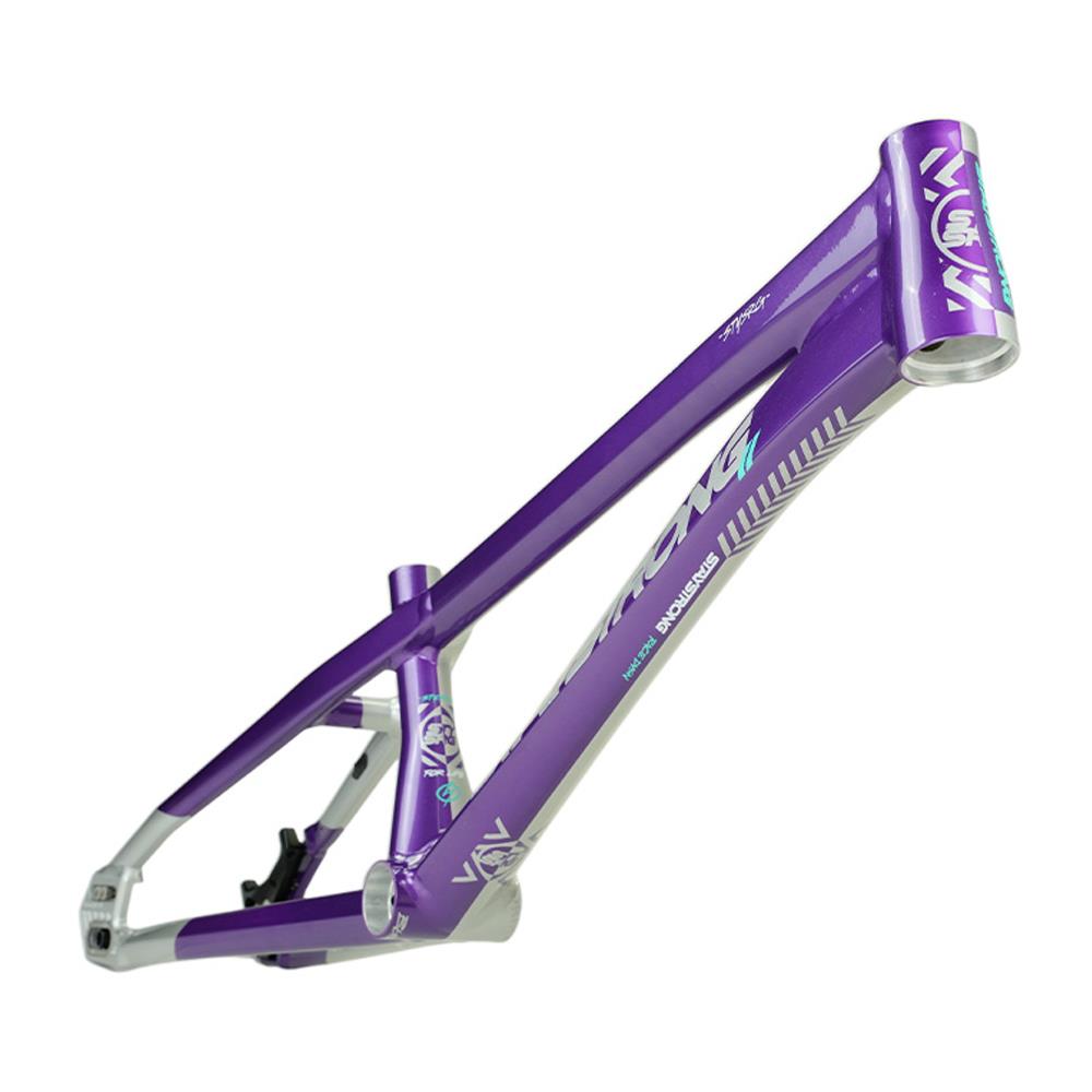 Stay Strong For Life V5.1 Cruiser Expert XL Frame