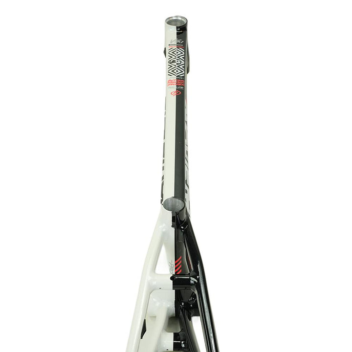 Stay Strong For Life V5.1 Pro Frame