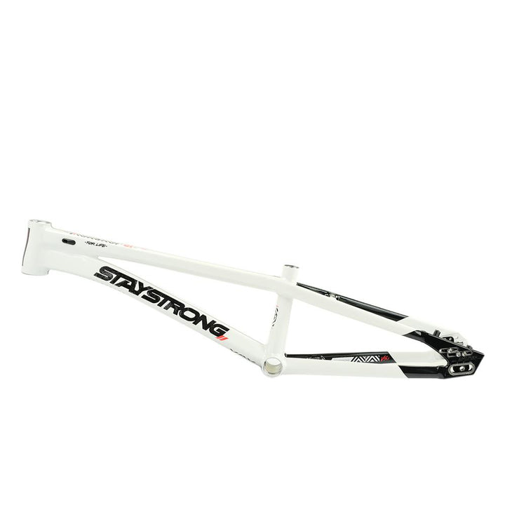 Stay Strong For Life V5.1 Cruiser Expert XL Frame