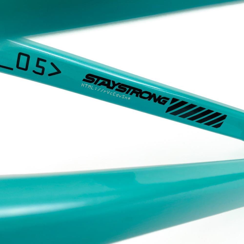 Stay Strong For Life 2024 V5 Cruiser Expert XL Race Frame - Disc Version