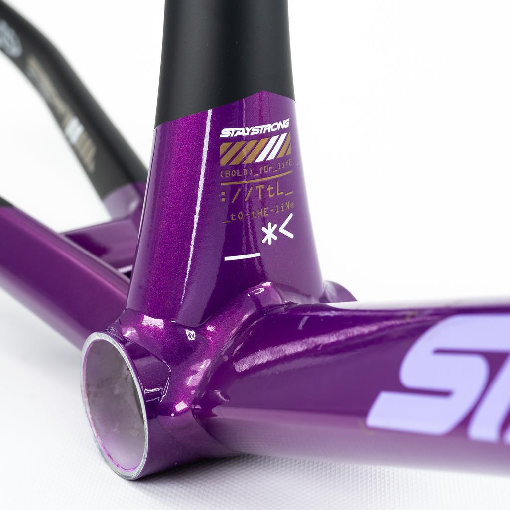 Stay Strong For Life V5 Pro Frame 2025 | Source BMX