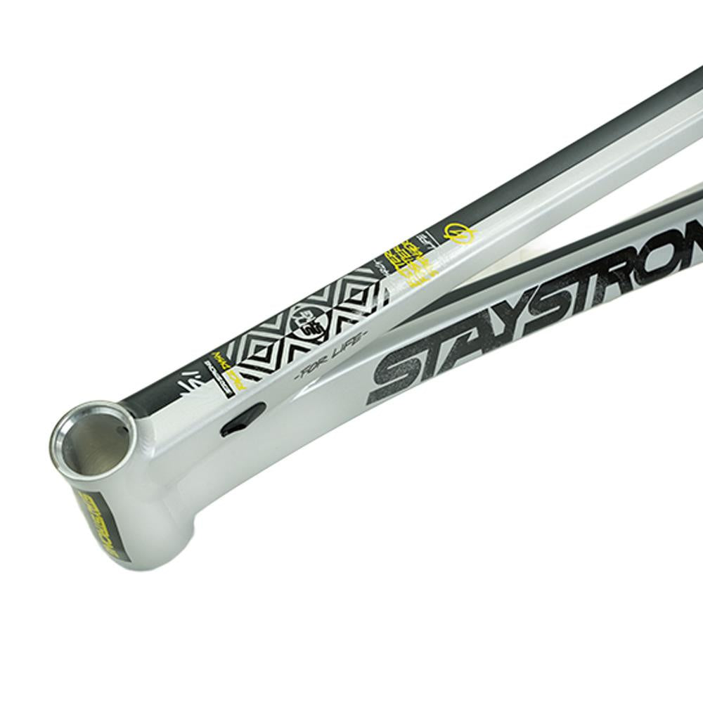 Stay Strong For Life V5.1 Pro XXXL Frame – Source BMX
