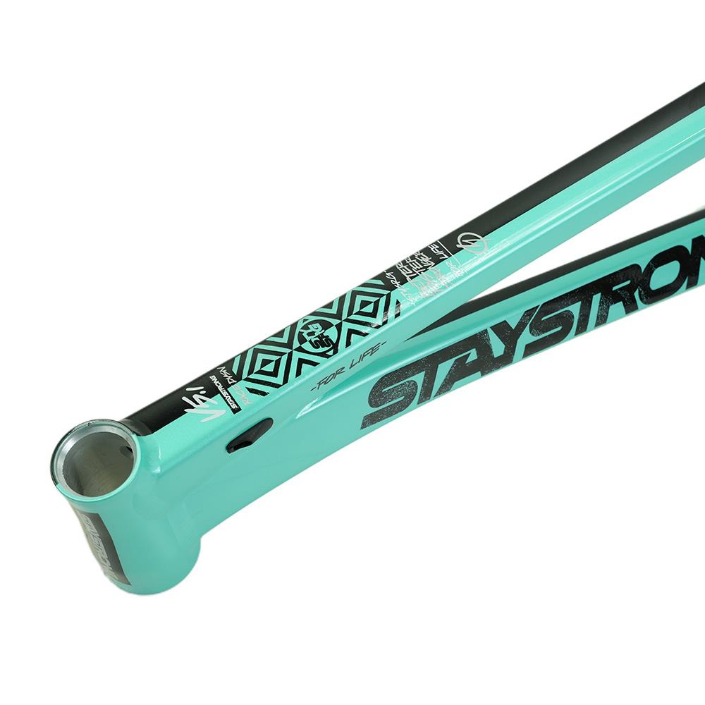 Stay Strong For Life V5.1 Pro XXL Frame – Source BMX
