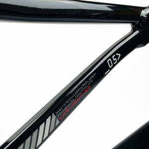 Stay Strong For Life 2024 V5 Mini Race Frame - Disc Version