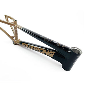 Stay Strong For Life 2024 V5 Mini Race Frame - Disc Version