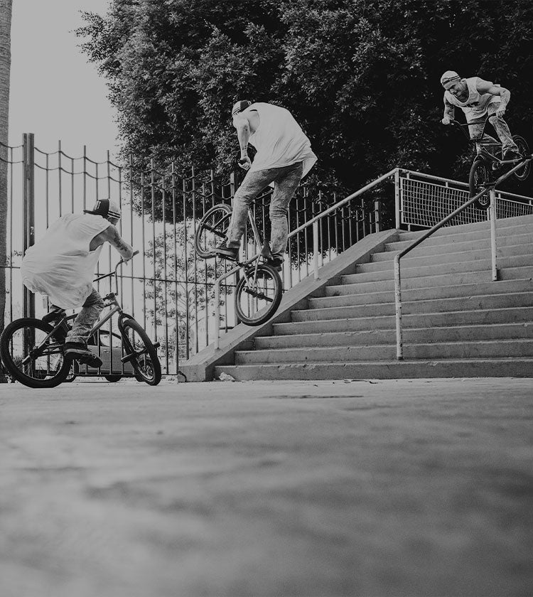 Animal bikes bmx sale