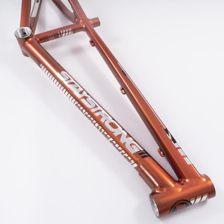 Stay Strong For Life 2023 V4 Expert Race Frame - Disc Version