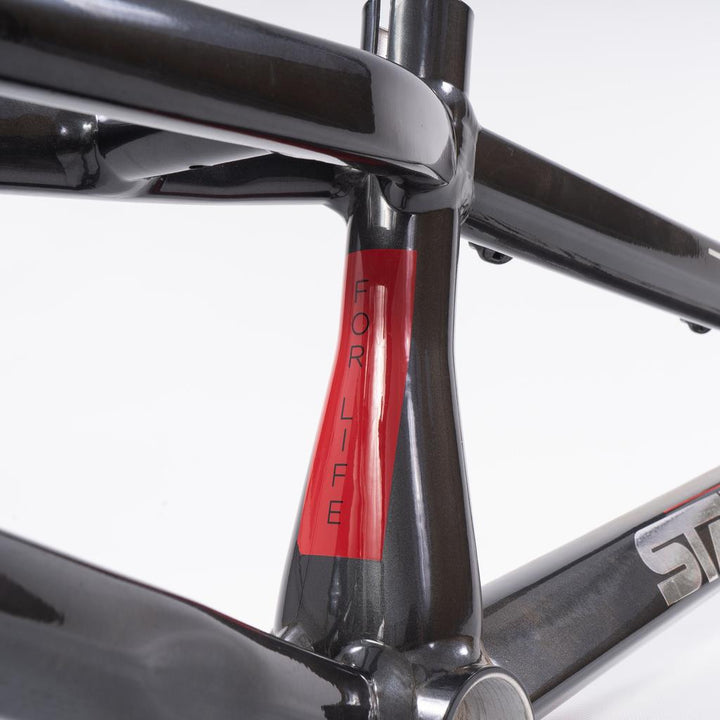 Stay Strong For Life 2023 V4 Pro Race Frame