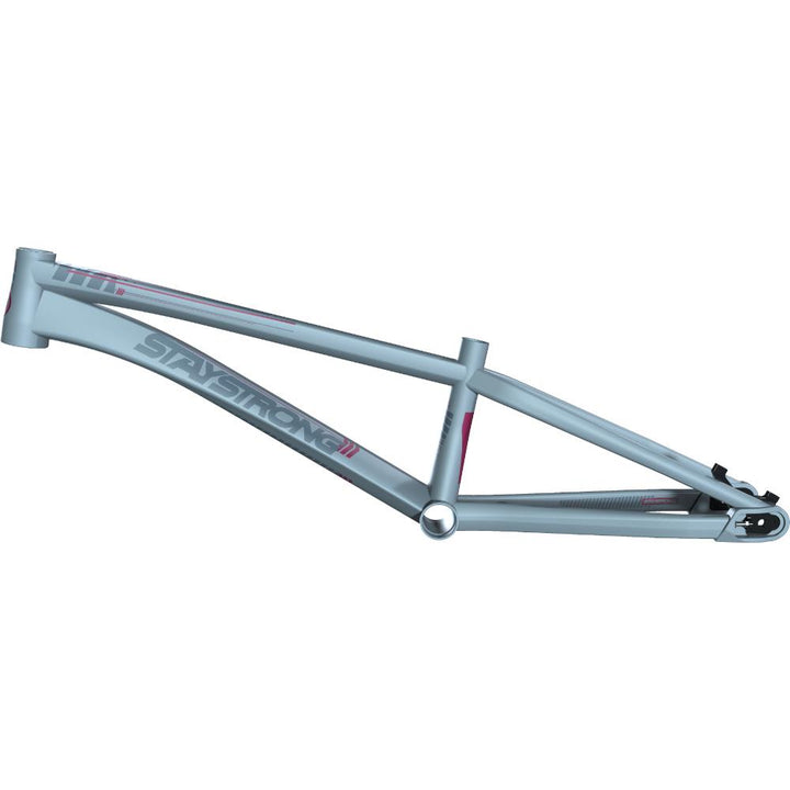 Stay Strong For Life V4 Junior Race Frame