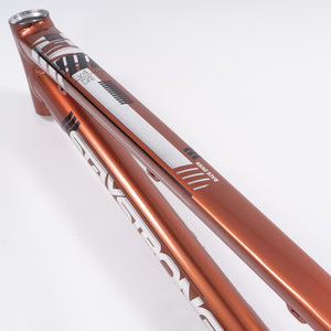 Stay Strong For Life 2023 V4 Expert Race Frame - Disc Version