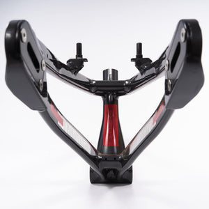 Stay Strong For Life 2023 V4 Pro Race Frame