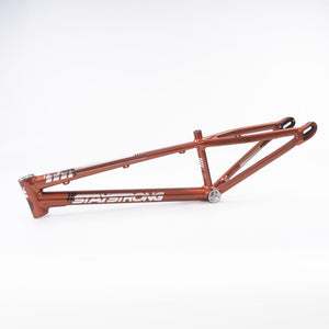 Stay Strong For Life 2023 V4 Expert Race Frame - Disc Version