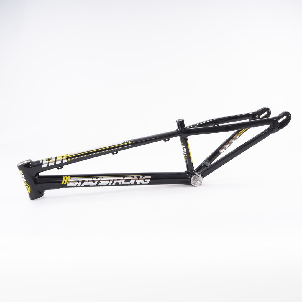 Stay Strong For Life 2023 V4 Expert Race Frame - Disc Version