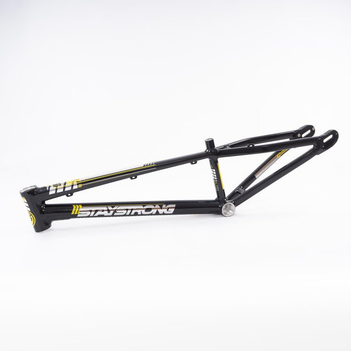 Stay Strong For Life 2023 V4 Expert Race Frame - Disc Version
