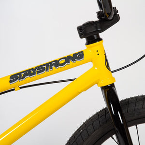 Stay Strong Bicicleta BMX de Inceptor