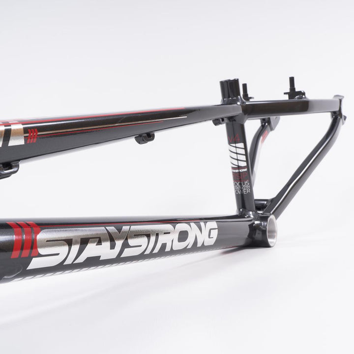 Stay Strong For Life 2023 V4 Expert Race Frame
