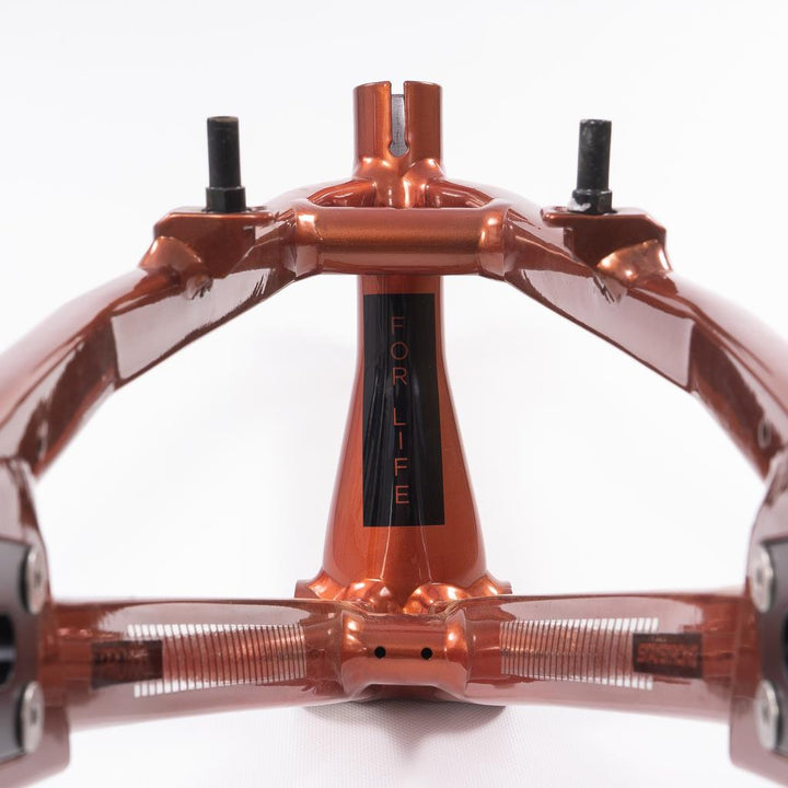 Stay Strong For Life 2023 V4 Pro Race Frame