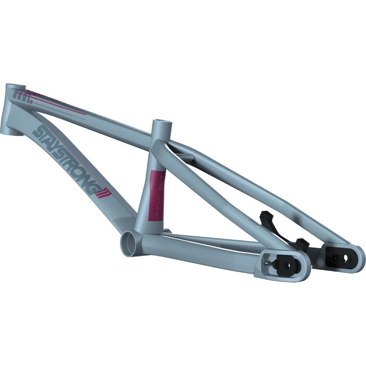 Stay Strong For Life V4 Junior Race Frame