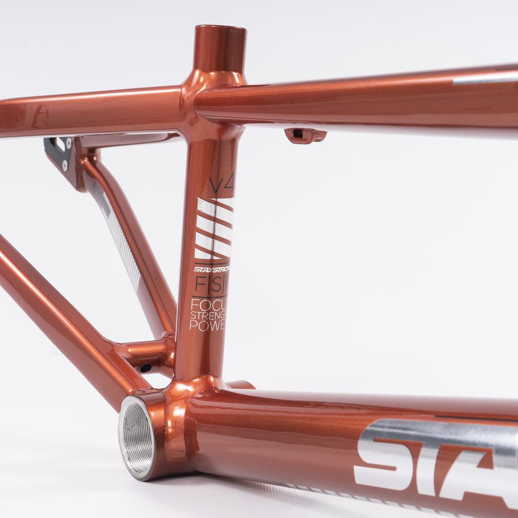 Stay Strong For Life 2023 V4 Expert Race Frame - Disc Version